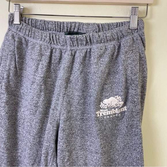Roots Mont Tremblant Classic Jogger Sweatpants in Gray SIZE SMALL - Picture 10 of 11